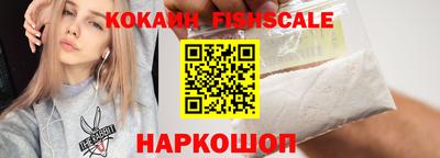 apvp Кингисепп