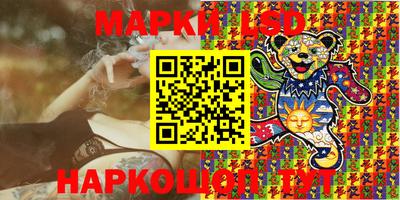 apvp Кингисепп