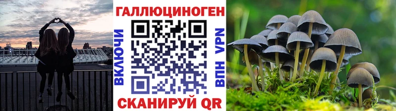 Псилоцибиновые грибы GOLDEN TEACHER  это наркотические препараты  Истра 