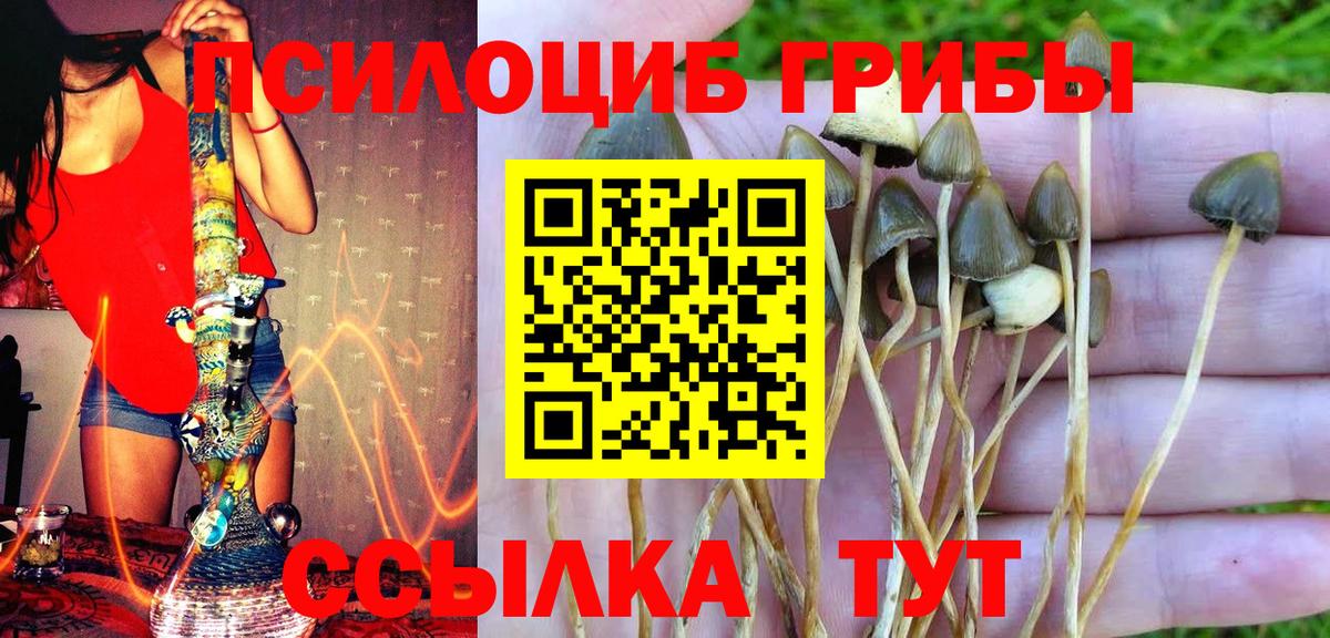 Истра  Псилоцибиновые грибы мухоморы  Вход с VPN 